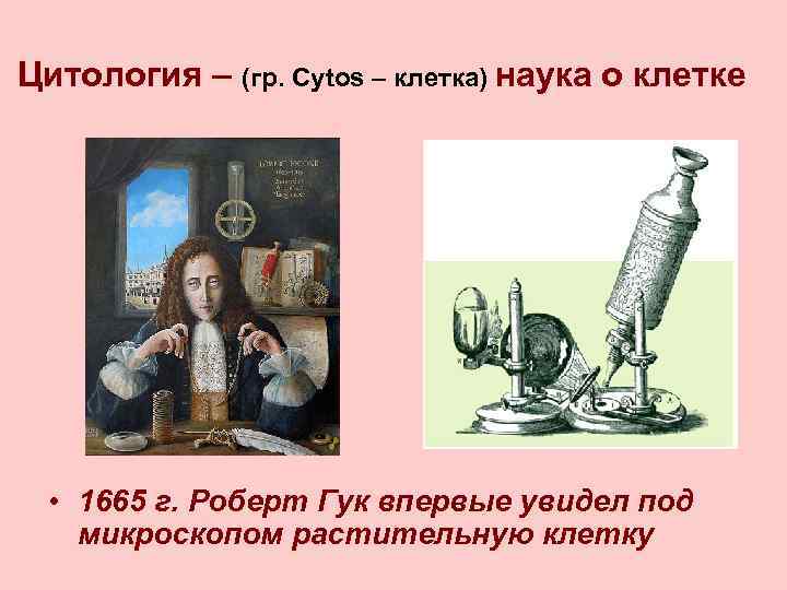 Цитология – (гр. Cytos – клетка) наука о клетке • 1665 г. Роберт Гук