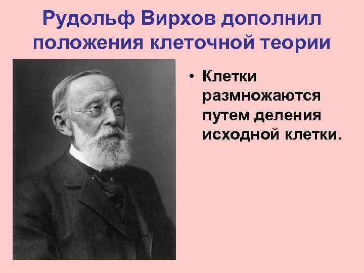 Рудольф Вирхов дополнил положения клеточной теории • Клетки размножаются путем деления исходной клетки. 