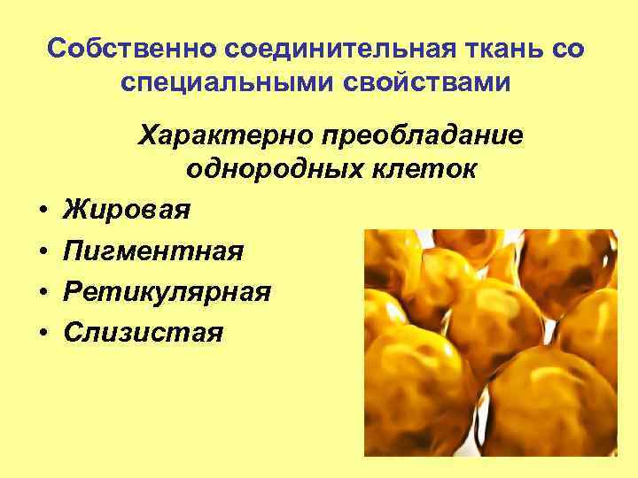 Собственно соединительная ткань со специальными свойствами • • Характерно преобладание однородных клеток Жировая Пигментная