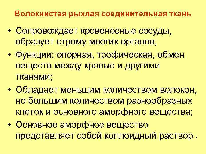 Волокнистая рыхлая соединительная ткань • Сопровождает кровеносные сосуды, образует строму многих органов; • Функции: