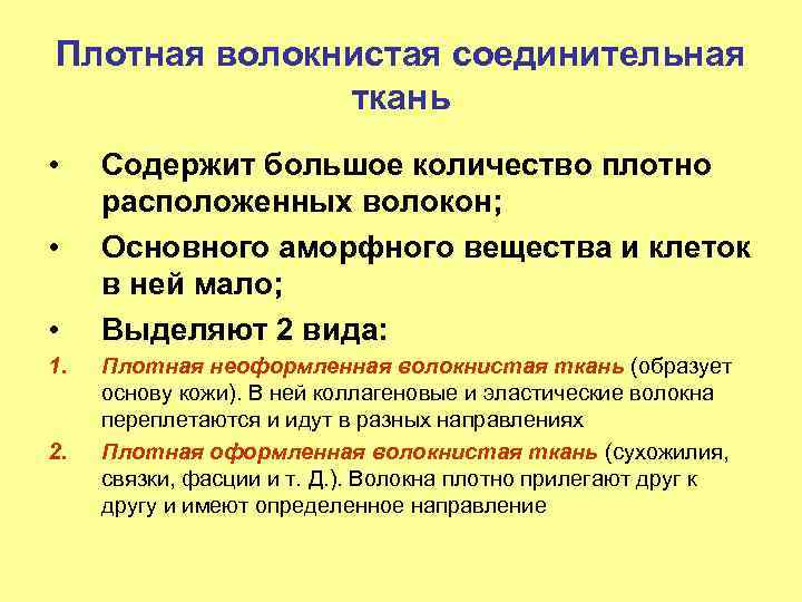 Плотная волокнистая соединительная ткань • • • 1. 2. Содержит большое количество плотно расположенных