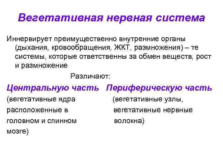 Вегетативная нервная система Иннервирует преимущественно внутренние органы (дыхания, кровообращения, ЖКТ, размножения) – те системы,