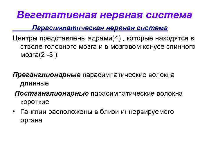 Вегетативная нервная система Парасимпатическая нервная система Центры представлены ядрами(4) , которые находятся в стволе