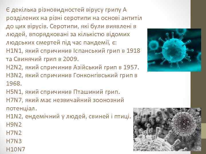 Є декілька різновидностей вірусу грипу А розділених на різні серотипи на основі антитіл до