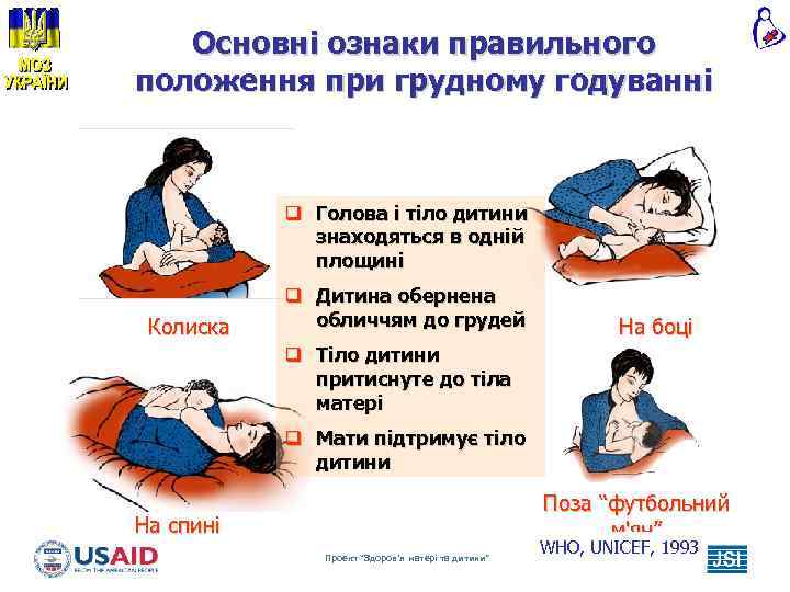 Основні ознаки правильного положення при грудному годуванні q Голова і тіло дитини знаходяться в