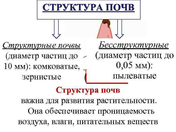 СТРУКТУРА ПОЧВ Бесструктурные Структурные почвы (диаметр частиц до 0, 05 мм): 10 мм): комковатые,