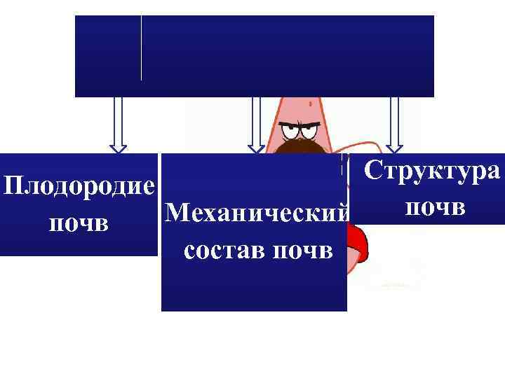 Основные свойства почв Структура Плодородие почв Механический почв состав почв 