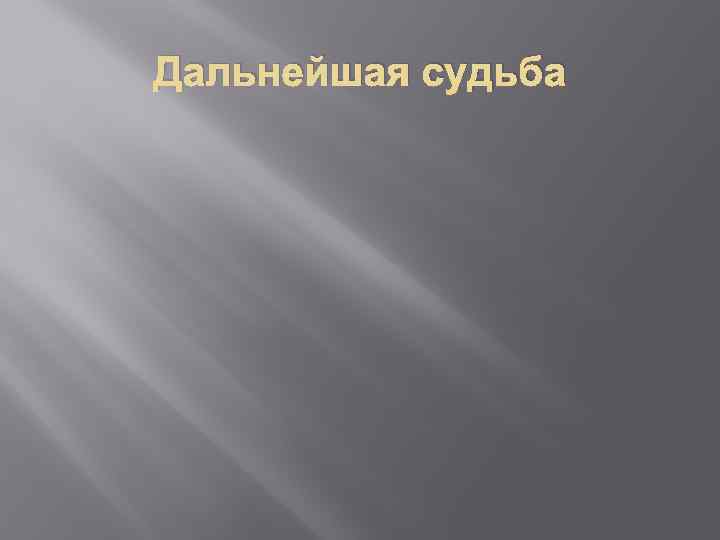 Дальнейшая судьба 