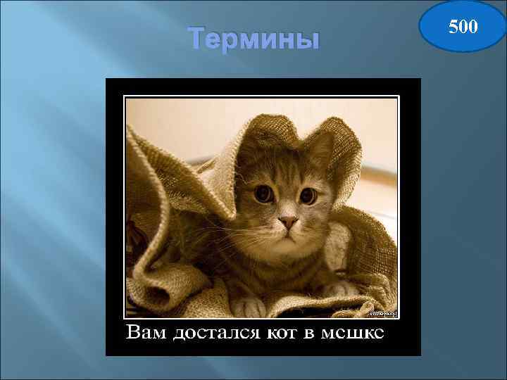Термины Церемония посвящения в рыцари. Ответ : АККОЛАДА 500 