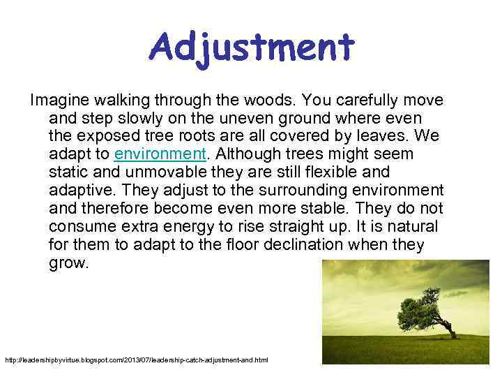 Adjustment Imagine walking through the woods. You carefully move and step slowly on the