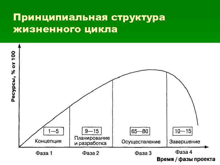 Принципиальная структура жизненного цикла 