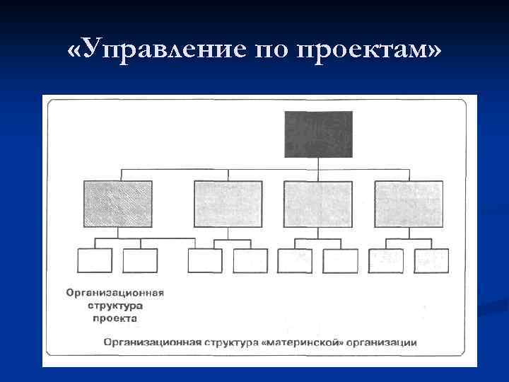  «Управление по проектам» 