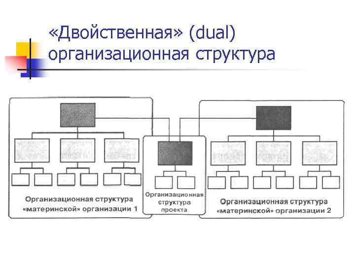  «Двойственная» (dual) организационная структура 