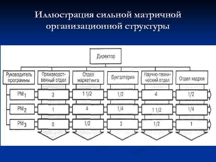 Иллюстрация сильной матричной организационной структуры 