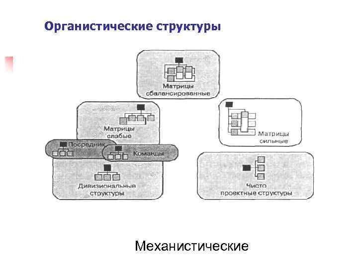 Органистические структуры Механистические 