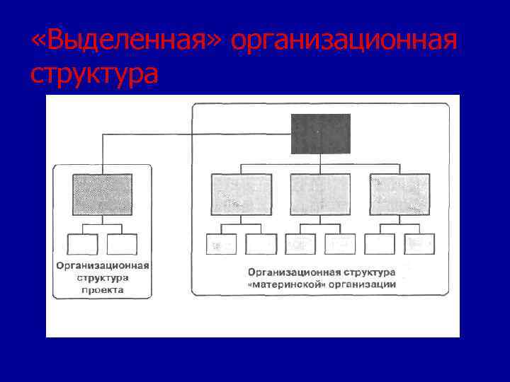  «Выделенная» организационная структура 