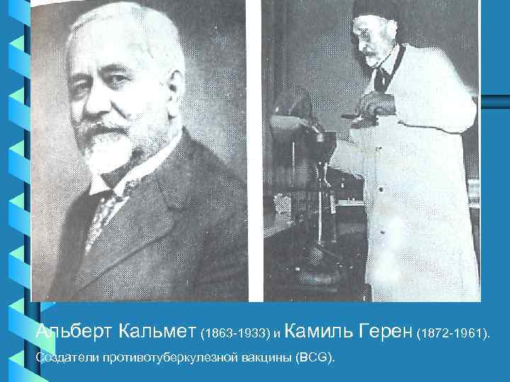 Альберт Кальмет (1863 -1933) и Камиль Герен (1872 -1961). Создатели противотуберкулезной вакцины (BCG). 