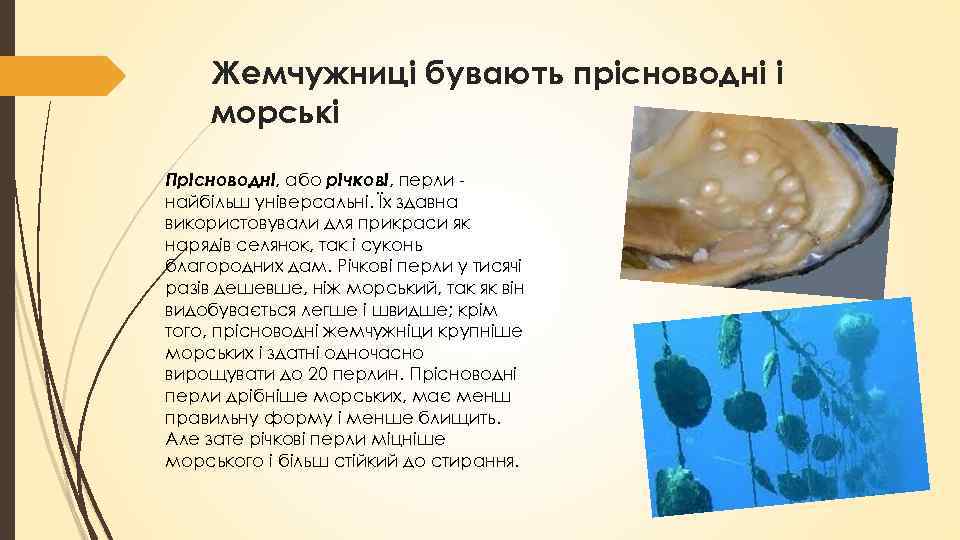 Жемчужниці бувають прісноводні і морські Прісноводні, або річкові, перли найбільш універсальні. Їх здавна використовували