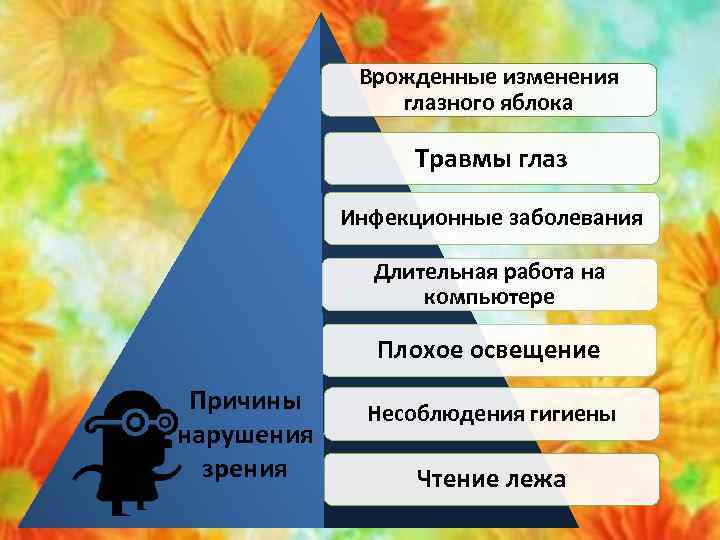 Врожденные изменения глазного яблока Травмы глаз Инфекционные заболевания Длительная работа на компьютере Плохое освещение