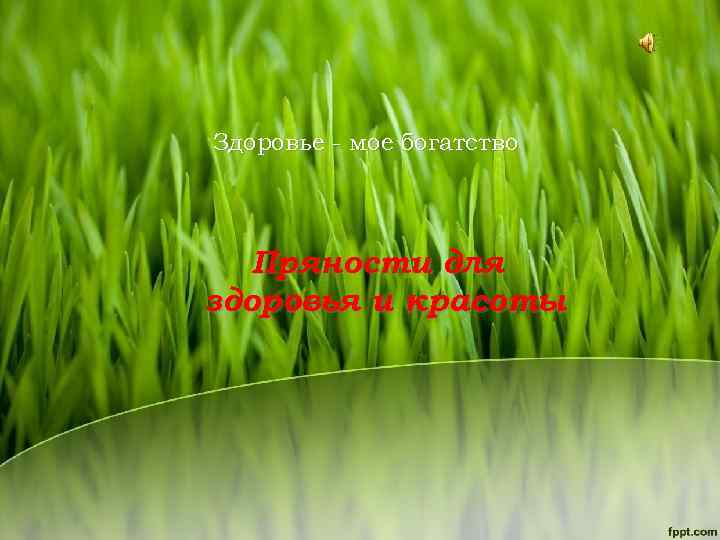 Здоровье - мое богатство Пряности для здоровья и красоты 