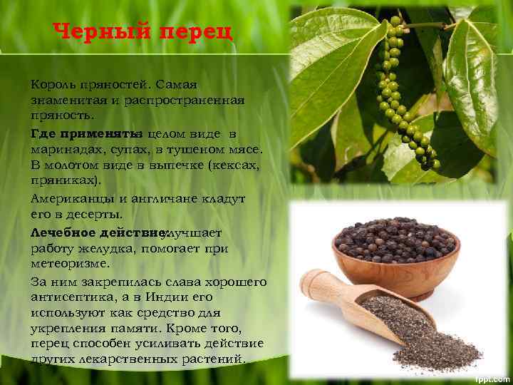 Черный перец Король пряностей. Самая знаменитая и распространенная пряность. Где применять: целом виде в