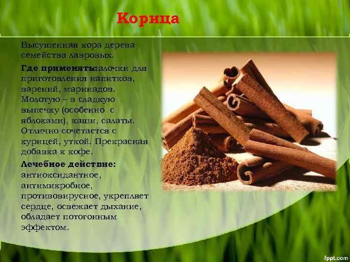 Корица Высушенная кора дерева семейства лавровых. Где применять: палочки для приготовления напитков, варений, маринадов.