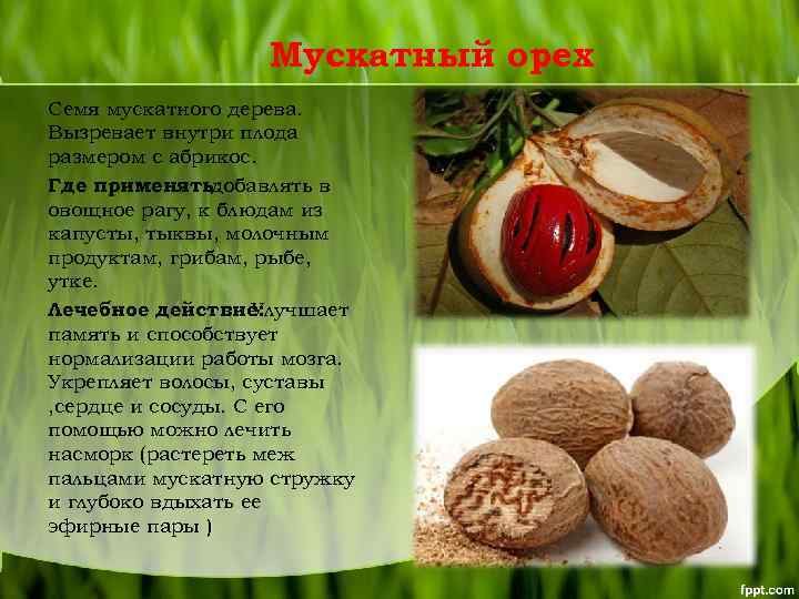 Мускатный орех Семя мускатного дерева. Вызревает внутри плода размером с абрикос. Где применять: добавлять