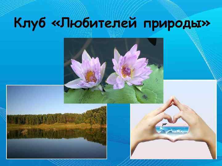 Клуб «Любителей природы» 