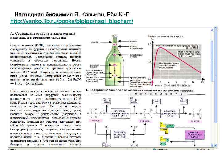 Наглядная биохимия Я. Кольман, Рём К. -Г http: //yanko. lib. ru/books/biolog/nagl_biochem/ 