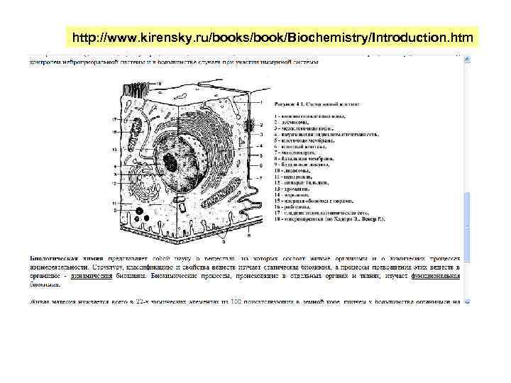 http: //www. kirensky. ru/books/book/Biochemistry/Introduction. htm 