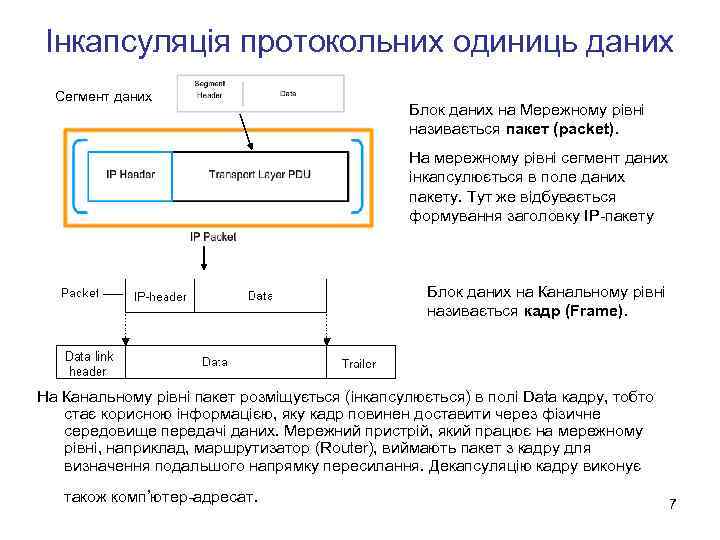 Інкапсуляція протокольних одиниць даних Сегмент даних Блок даних на Мережному рівні називається пакет (packet).