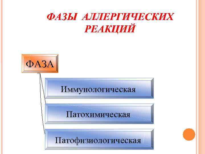 ФАЗЫ АЛЛЕРГИЧЕСКИХ РЕАКЦИЙ ФАЗА Иммунологическая Патохимическая Патофизиологическая 