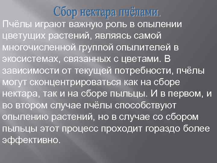 Пчёлы играют важную роль в опылении цветущих растений, являясь самой многочисленной группой опылителей в