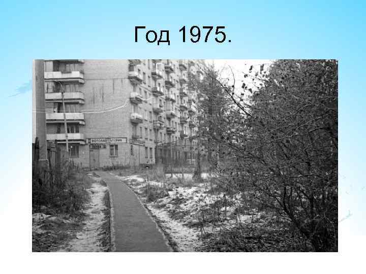 Год 1975. 