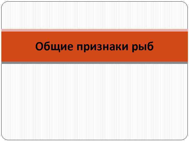 Общие признаки рыб 
