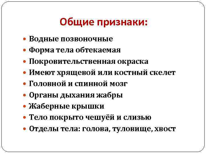 Общие признаки: Водные позвоночные Форма тела обтекаемая Покровительственная окраска Имеют хрящевой или костный скелет