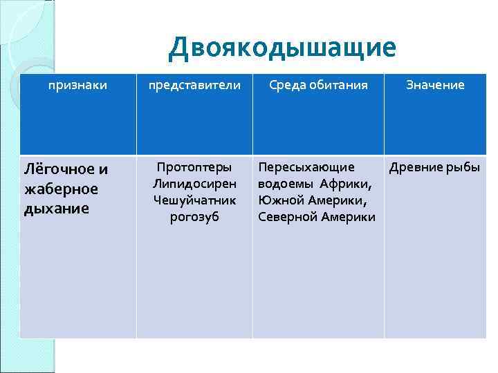 Двоякодышащие признаки Лёгочное и жаберное дыхание представители Протоптеры Липидосирен Чешуйчатник рогозуб Среда обитания Значение