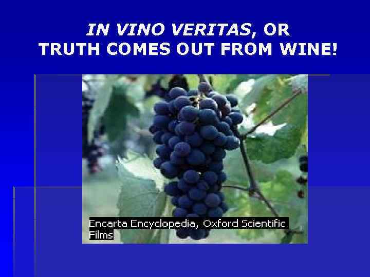IN VINO VERITAS, OR TRUTH COMES OUT FROM WINE! 