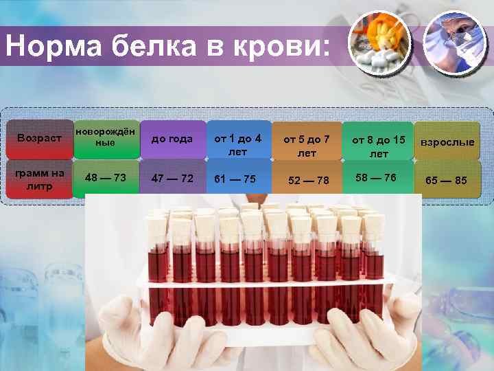 Норма белка в крови: Возраст новорождён ные до года от 1 до 4 лет