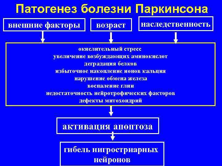Патогенез болезни Паркинсона внешние факторы возраст наследственность окислительный стресс увеличение возбуждающих аминокислот деградация белков