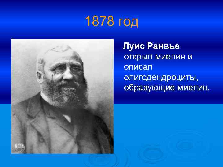 1878 год Луис Ранвье открыл миелин и описал олигодендроциты, образующие миелин. 