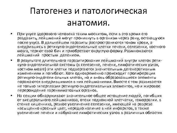 Патогенез и патологическая анатомия. • • • При укусе здорового человека таким москитом, если