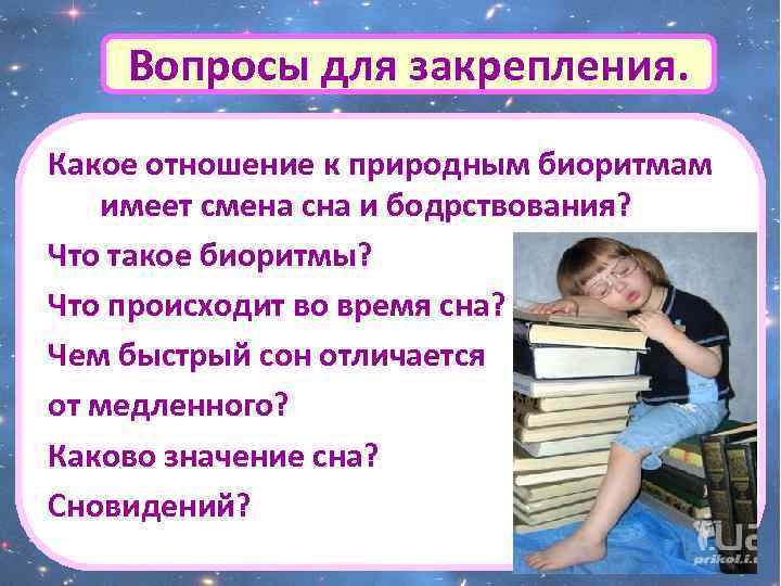 Какое отношение времени. Смена сна и бодрствования. Каким образом происходит смена сна и бодрствования. Какое отношение к природе биоритмам имеет смена сна и бодрствования. Биологические ритмы сна и бодрствования связаны со сменой.