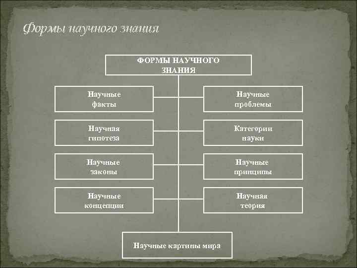 Формы научного знания ФОРМЫ НАУЧНОГО ЗНАНИЯ Научные факты Научные проблемы Научная гипотеза Категории науки