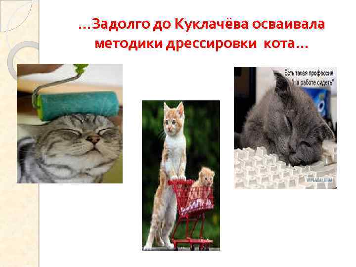 …Задолго до Куклачёва осваивала методики дрессировки кота… 
