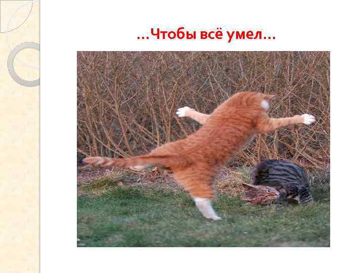 …Чтобы всё умел… 