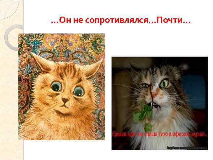 …Он не сопротивлялся…Почти… 