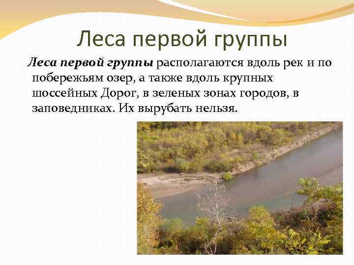  Леса первой группы располагаются вдоль рек и по побережьям озер, а также вдоль