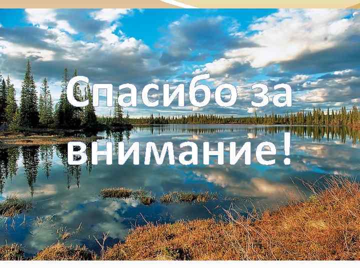 Спасибо за внимание! 