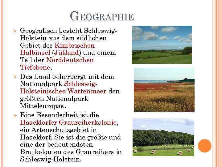 GEOGRAPHIE Ø Ø Ø Geografisch besteht Schleswig. Holstein aus dem südlichen Gebiet der Kimbrischen